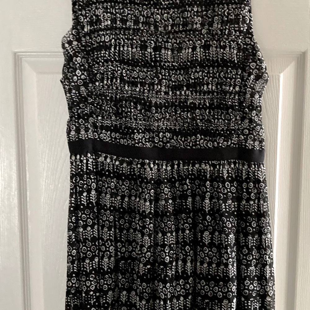 Anthropologie Black and White Tulip Print Dress